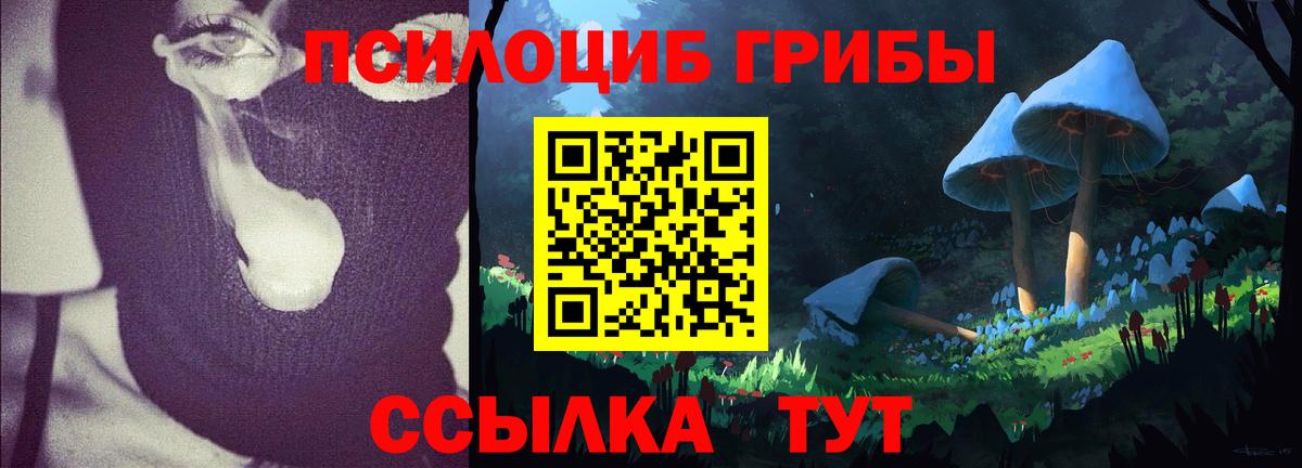 Нововоронеж  Галлюциногенные грибы ЛСД  Вход с VPN 